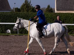 IMG_7213_web